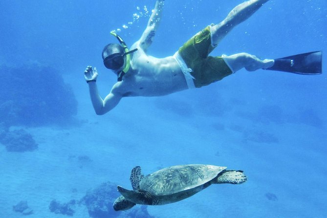 West Maui Half Day Snorkel from Ka’anapali Beach - Boarding from Ka’anapali Beach