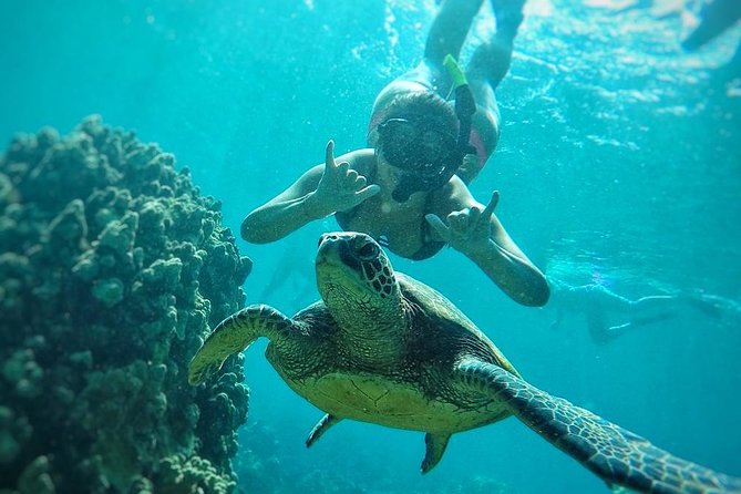 West Maui Half Day Snorkel from Ka’anapali Beach - Choosing among Honolua Bay, Mala Wharf, Oluwalu, and Cliff House