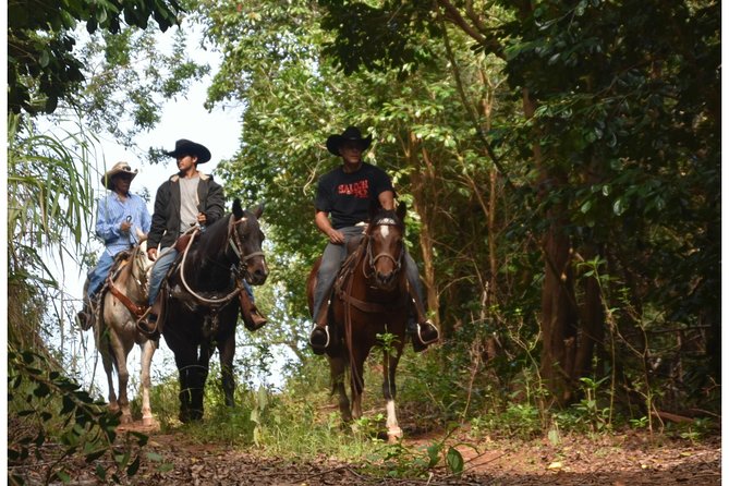 West Maui Mountain Waterfall and Ocean Tour via Horseback - Climbing through the West Maui valleys