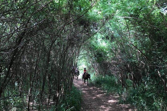 West Maui Mountain Waterfall and Ocean Tour via Horseback - Descending to the Pacific overlook