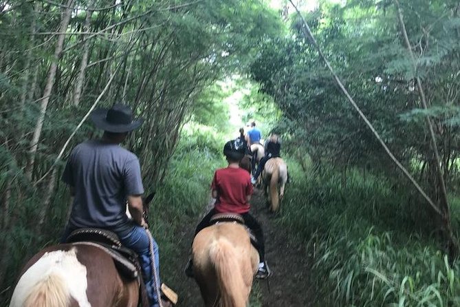 West Maui Mountain Waterfall and Ocean Tour via Horseback - Trot, canter, or stay at a walk