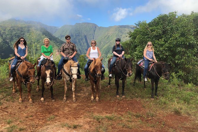 West Maui Mountain Waterfall and Ocean Tour via Horseback - The farm animals add a friendly finish