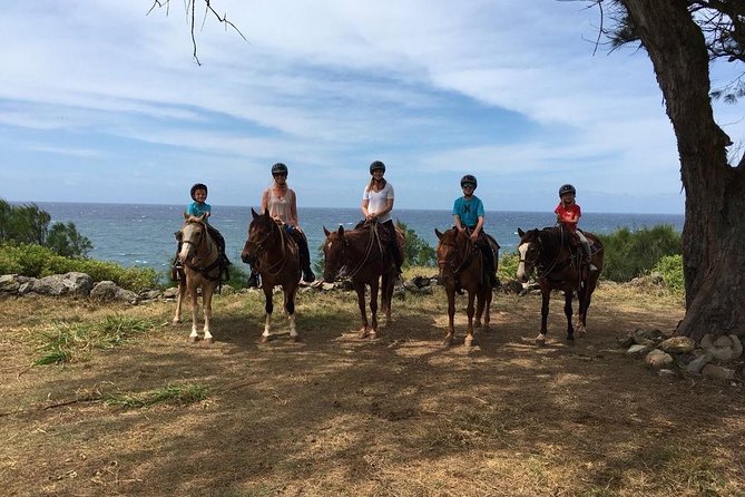 West Maui Mountain Waterfall and Ocean Tour via Horseback - What $187.50 buys you