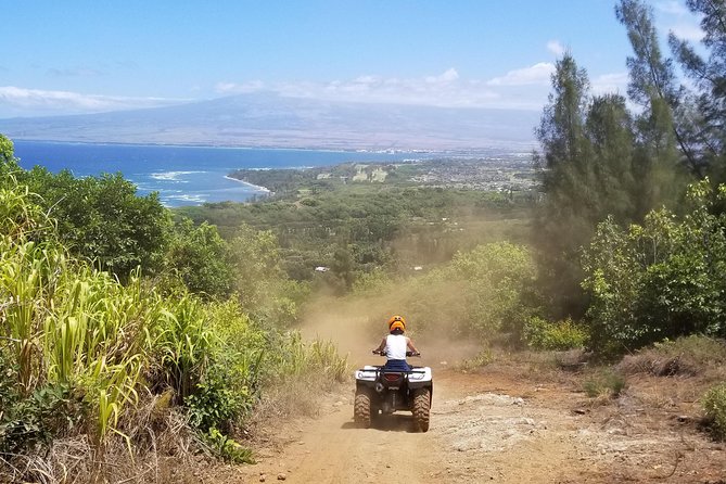 West Maui Mountains ATV Adventure - Is $229.17 a fair price?