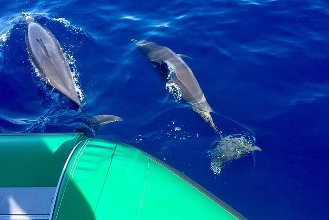 West Maui Snorkeling Experience by Boat from Ka'anapali - What makes this Ka’anapali snorkel trip different