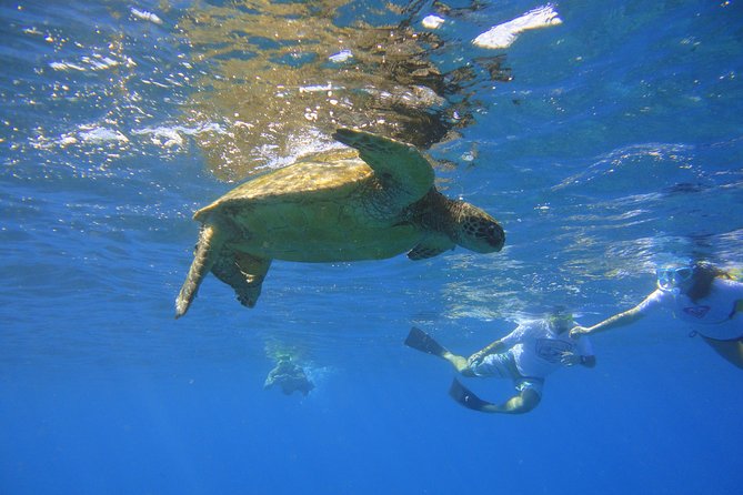 West Maui Snorkeling Experience by Boat from Ka'anapali - Stop one: Honolua Bay and the West Maui coast