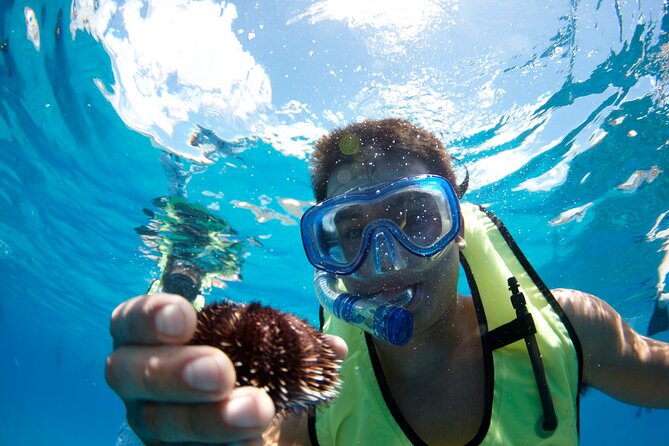 West Oahu Dolphin Watch and Snorkel Sail with Lunch - How much value do you get for $125.95?