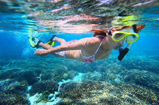 West Oahu Dolphin Watch and Snorkel Sail with Lunch - Timing, cancellation, and simple preparation
