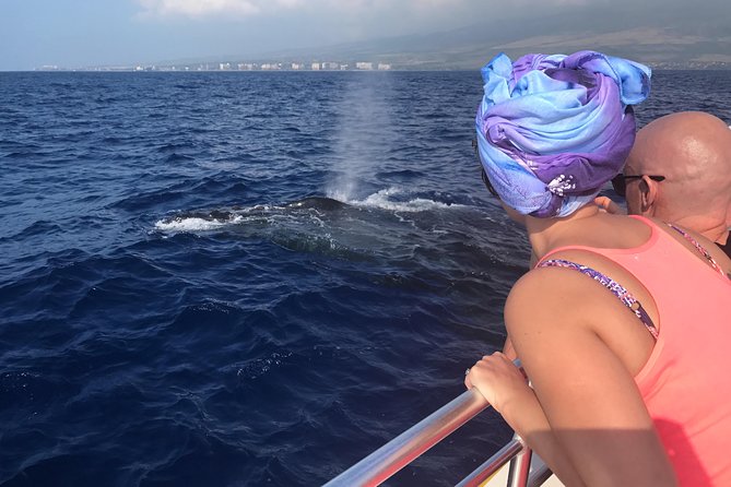 WHALES GUARANTEED Maui Whale Watching Makai Adventures - Key points about this Lahaina whale watch