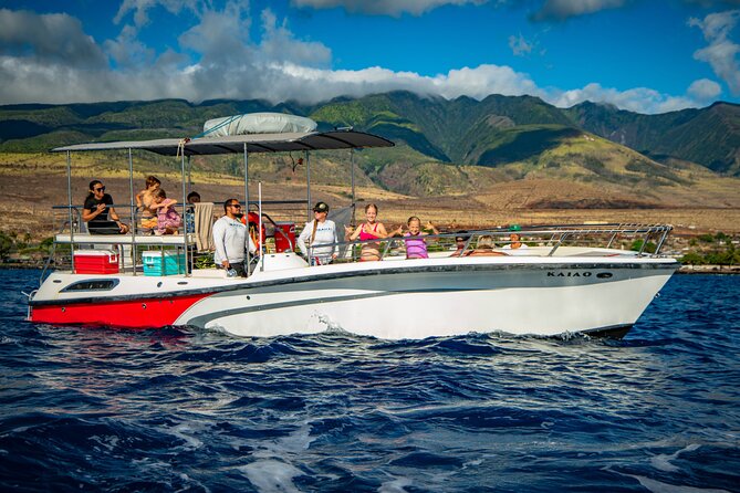 WHALES GUARANTEED Maui Whale Watching Makai Adventures - What you may see from the boat