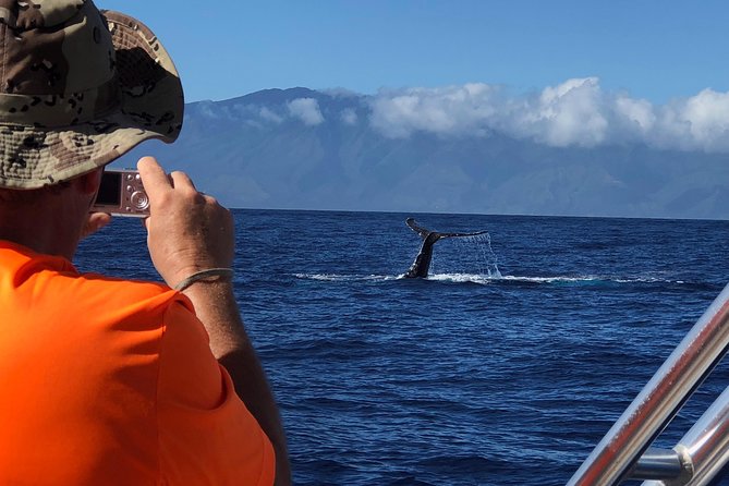 WHALES GUARANTEED Maui Whale Watching Makai Adventures - How the small group changes the experience