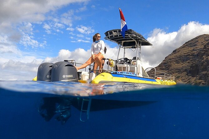 Wild Dolphin Watching and Snorkel Safari Off West Coast of Oahu - Why this three-hour safari earns its place on an Oahu itinerary